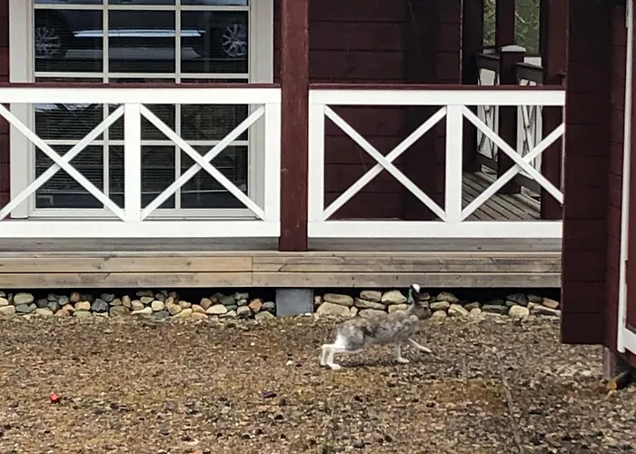 Dom wakacyjny Unelma