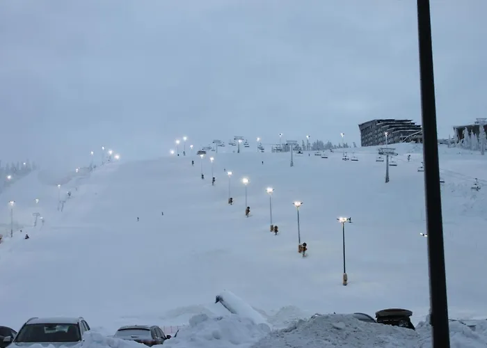 Unelma Dom wakacyjny Levi